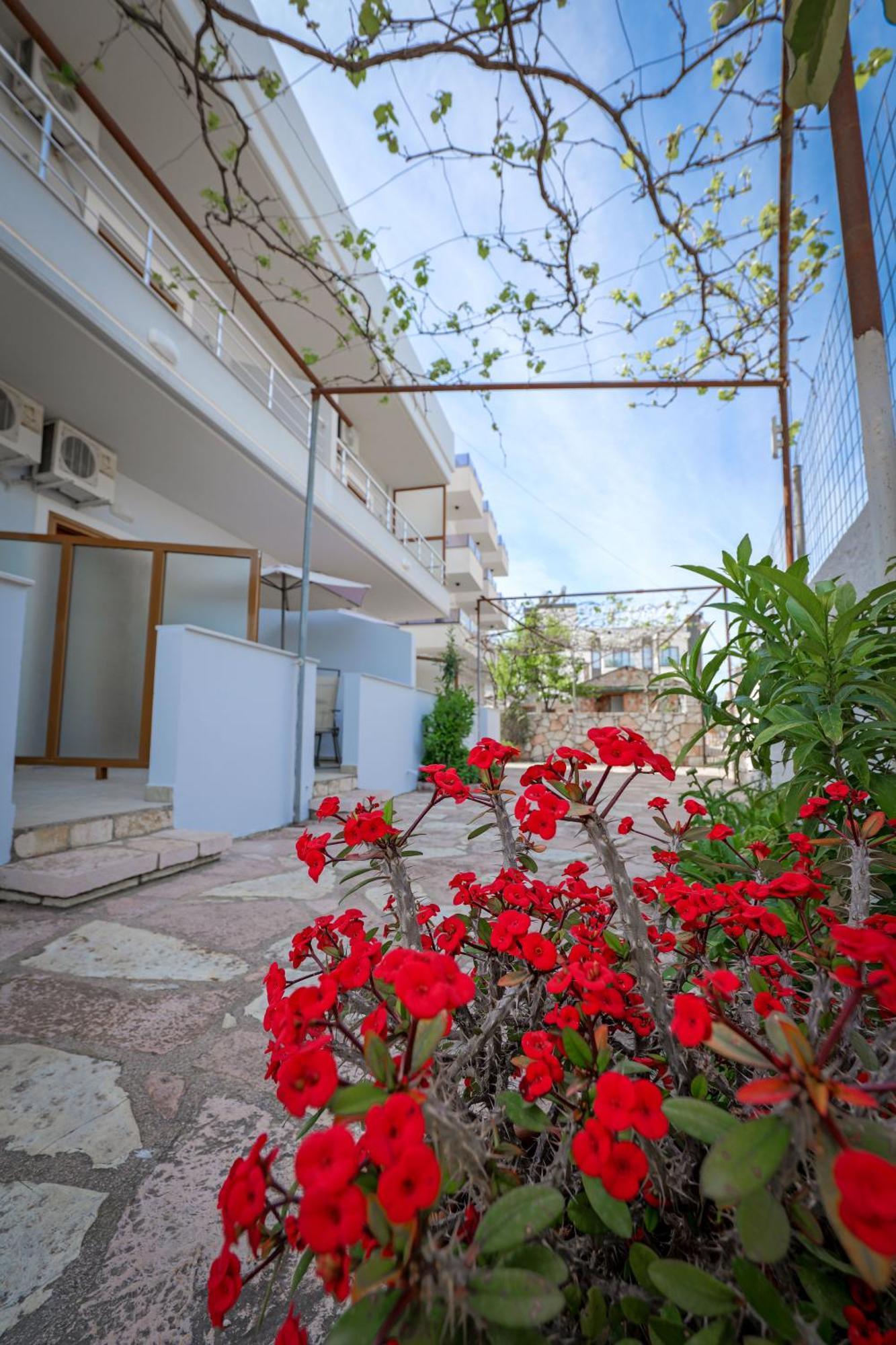 Guesthouse Moonlight Downtown Ксамил Екстериор снимка